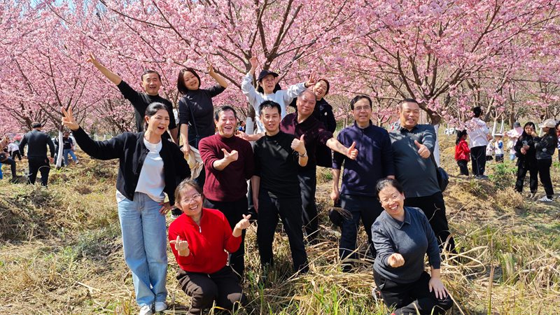 游客在櫻花樹(shù)下拍照打卡。