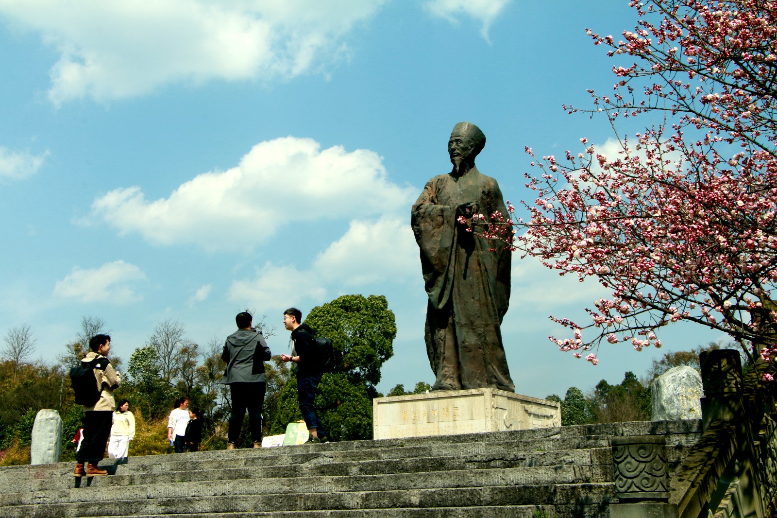 中國陽明文化園梅香滿園游人醉。