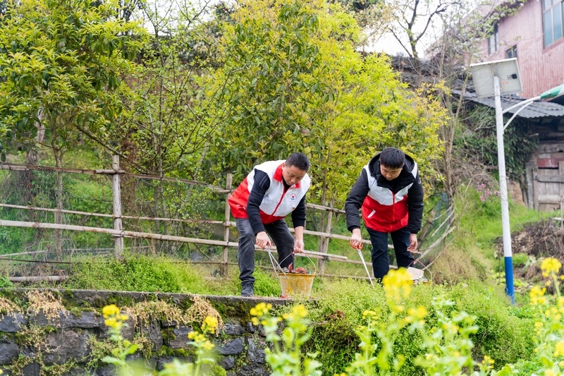 志愿服務(wù)隊(duì)開展人居環(huán)境整治提升。