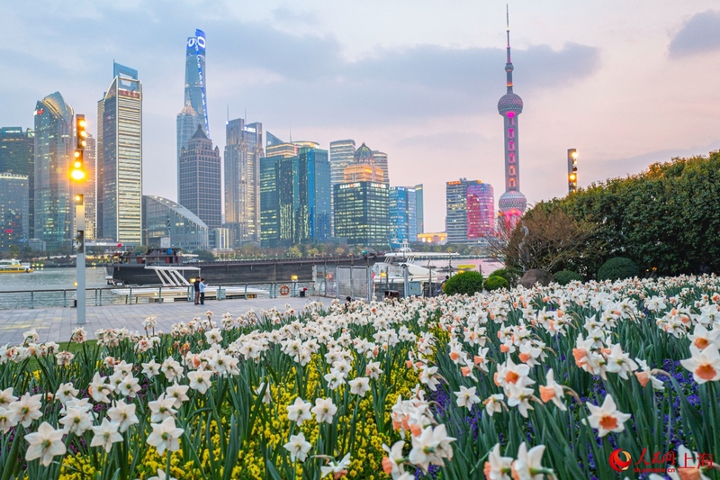 北外灘繁花似錦，景色迷人。 人民網(wǎng)記者 王初攝