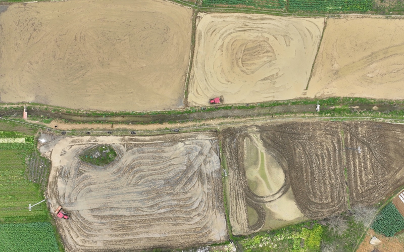 農(nóng)機(jī)正在作業(yè)。沈建華 攝.jpg