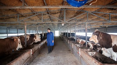 持續(xù)做好畜牧補(bǔ)欄增養(yǎng) “畜”勢勃發(fā)促增收