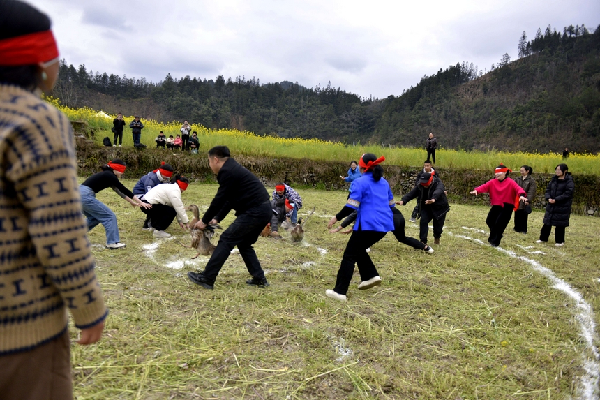 村民在榕江縣寨蒿鎮(zhèn)平堡村參加“蒙眼抓雞鴨”活動。