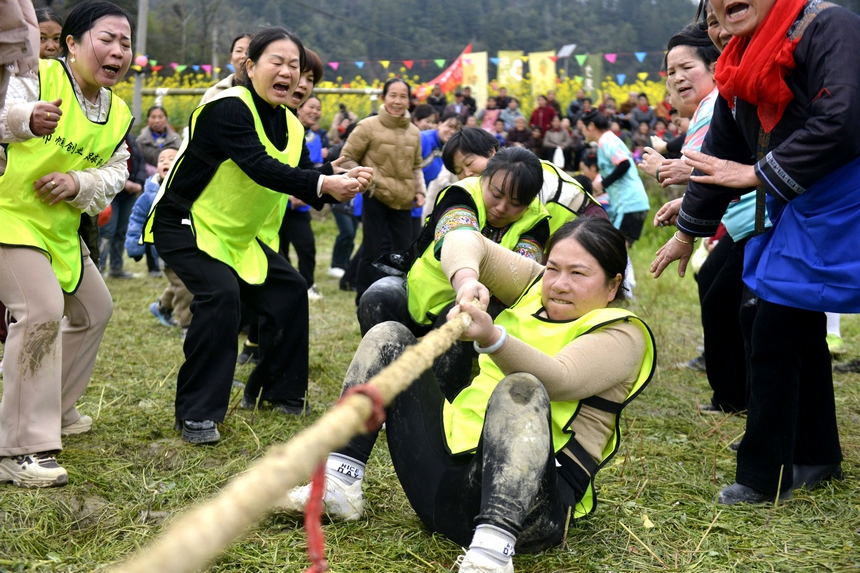 村民在榕江縣寨蒿鎮(zhèn)平堡村參加“南瓜拔河”活動。 