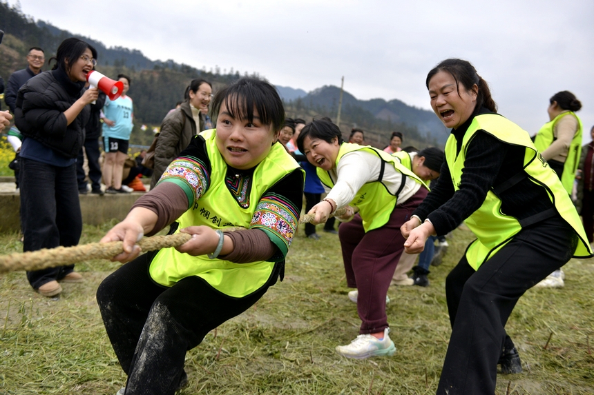 村民在榕江縣寨蒿鎮(zhèn)平堡村參加“南瓜拔河”活動(dòng)。