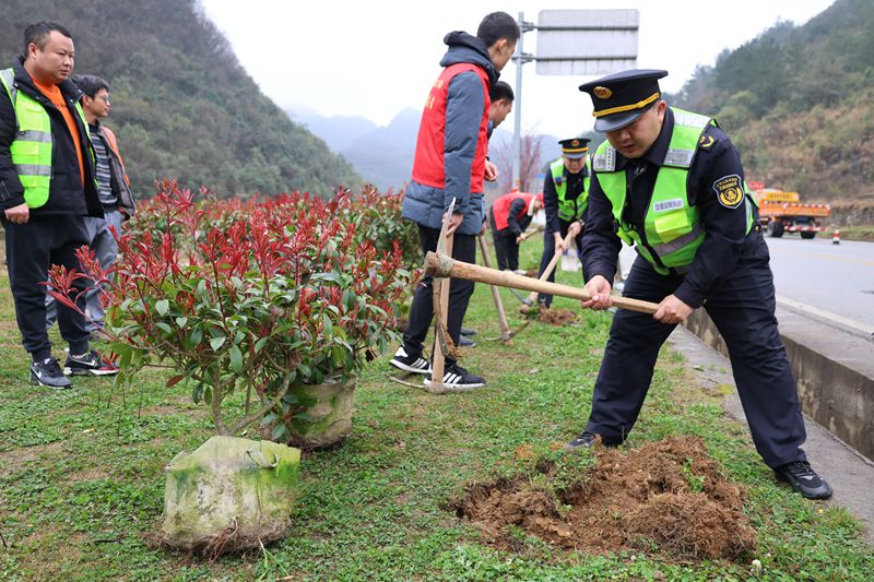 圖為植樹活動現(xiàn)場。