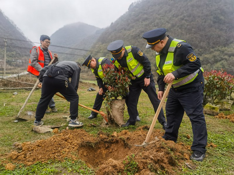 圖為植樹活動現(xiàn)場。