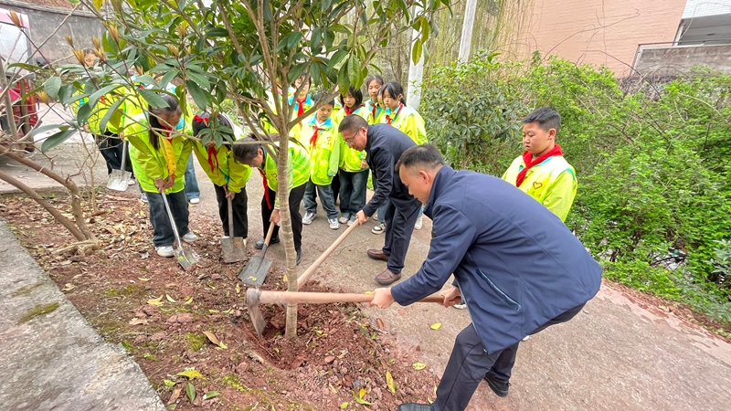 官店小學(xué)教師與學(xué)生一同勞動，合力植樹添新綠。