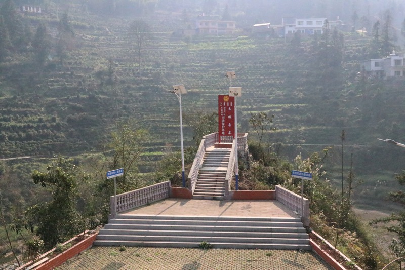 太極古茶生態(tài)環(huán)境、知識產(chǎn)權、司法保護基地。