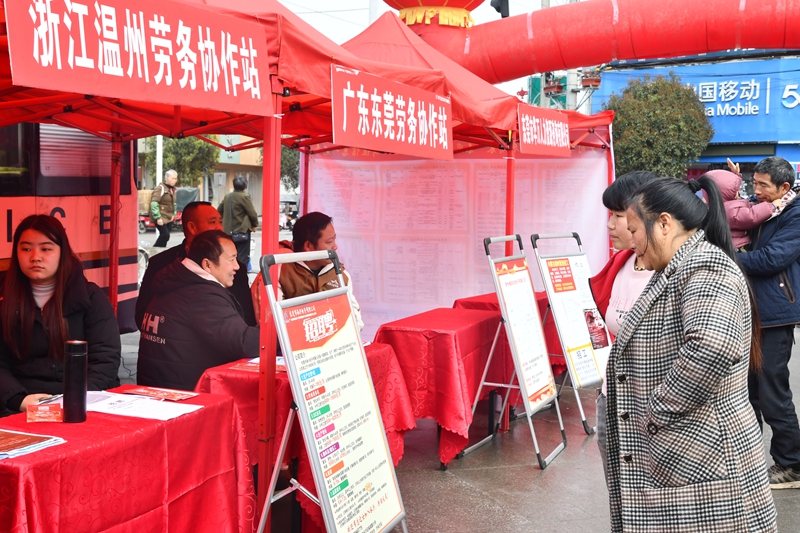 求職者咨詢工作崗位現(xiàn)場(chǎng).jpg