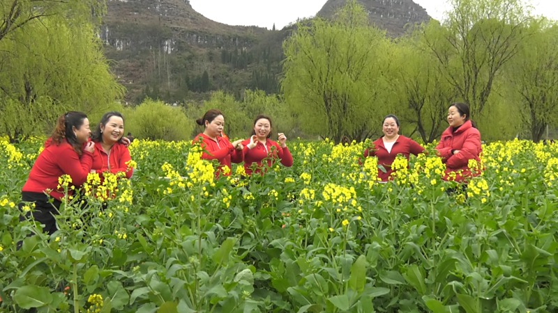 賞花活動(dòng)。