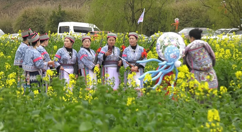 賞花活動(dòng)。