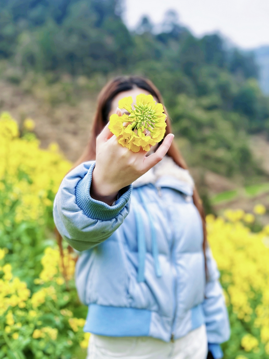 手捧油菜花，邂逅習(xí)水程寨鎮(zhèn)的明媚春光。