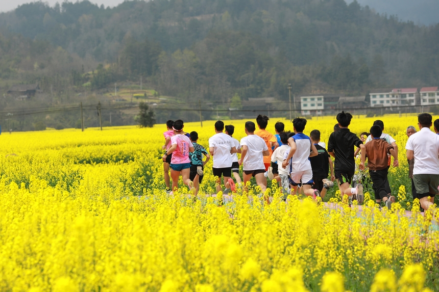 趣味村跑活動現(xiàn)場。楊家孟攝