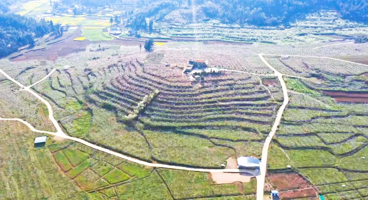 1 圖為甕安縣猴場鎮(zhèn)大金星村老兵蟠桃園基地。圖片由甕安融媒提供.jpeg