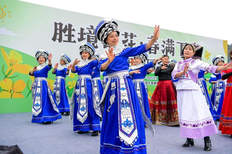 精彩紛呈的節(jié)目表演。