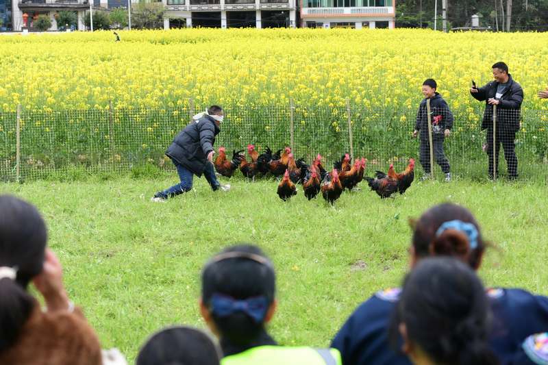 “霸王捉雞”比賽。