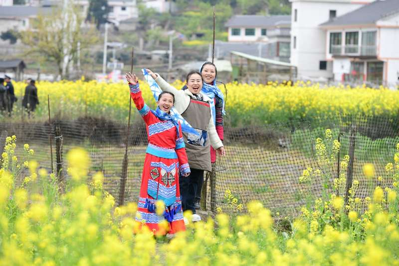 游客在花田中拍照打卡。