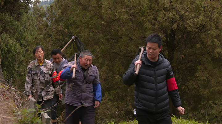 張坪村山火應(yīng)急小組正在巡山。