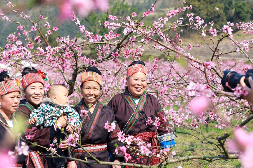 貴州省劍河縣岑松鎮(zhèn)塘腳村桃花種植基地，村民拍照打卡。楊家孟攝