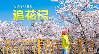 追花記
