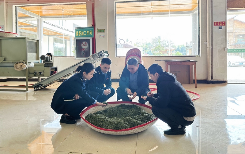 國家稅務總局鳳岡縣稅務局聚焦茶企發(fā)展需求，精準服務茶企。