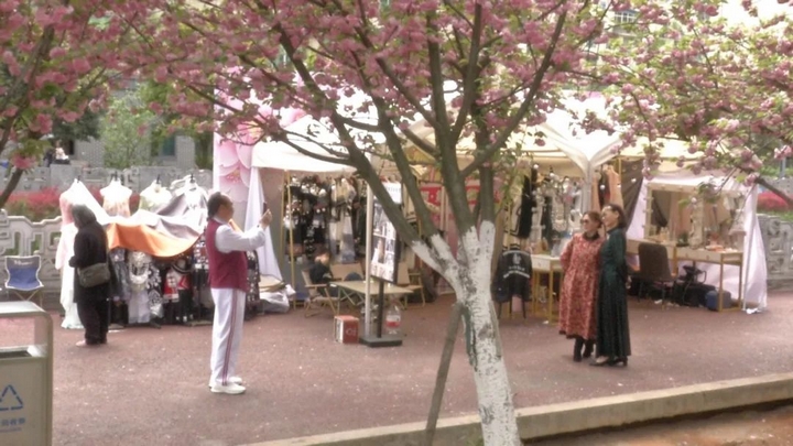 貴州鐘山：櫻花盛景催熱“賞花經(jīng)濟” (1).jpg