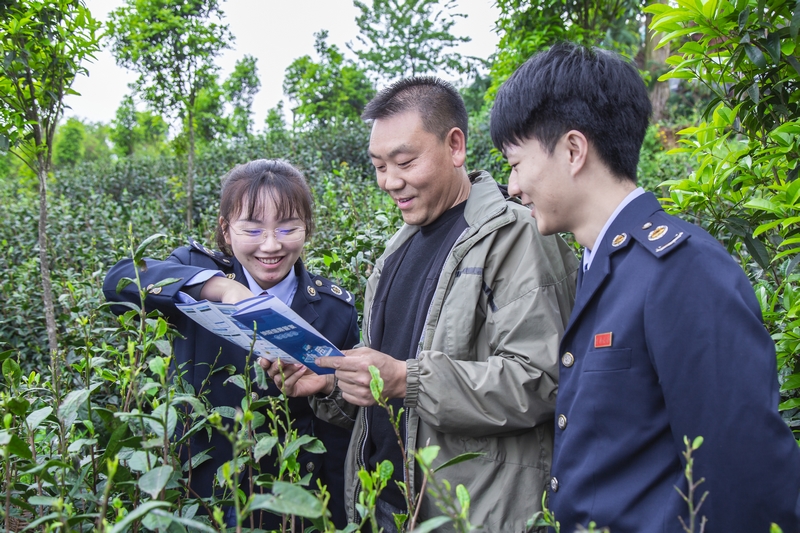 興義市稅務(wù)局稅務(wù)干部走進(jìn)綠茗茶業(yè)生態(tài)基地了解企業(yè)生產(chǎn)經(jīng)營情況，現(xiàn)場詳細(xì)講解納稅信用等級評定政策與銀稅互動相關(guān)知識。張松攝