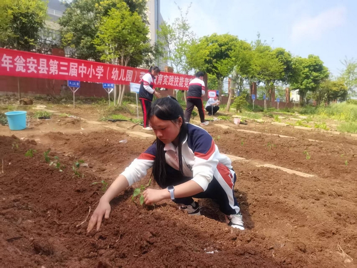 5 正是種植好時節(jié)。.jpeg