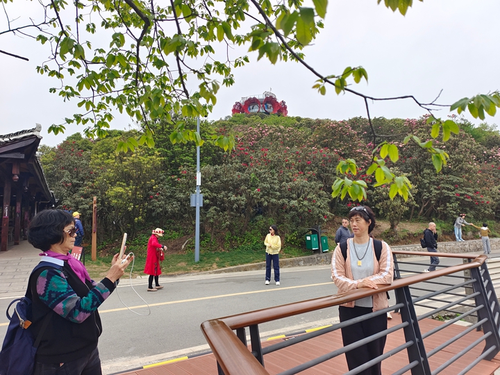 普底景區(qū)數(shù)花峰。