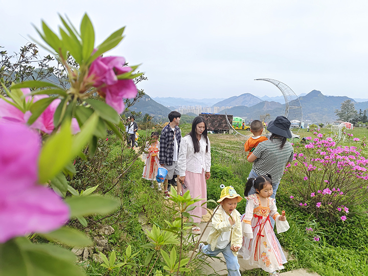 1、杉坪景區(qū)花開吸引眾多游客來打卡。