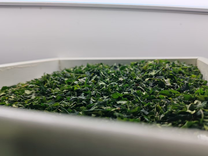 碾茶創(chuàng)新中心的碾茶。