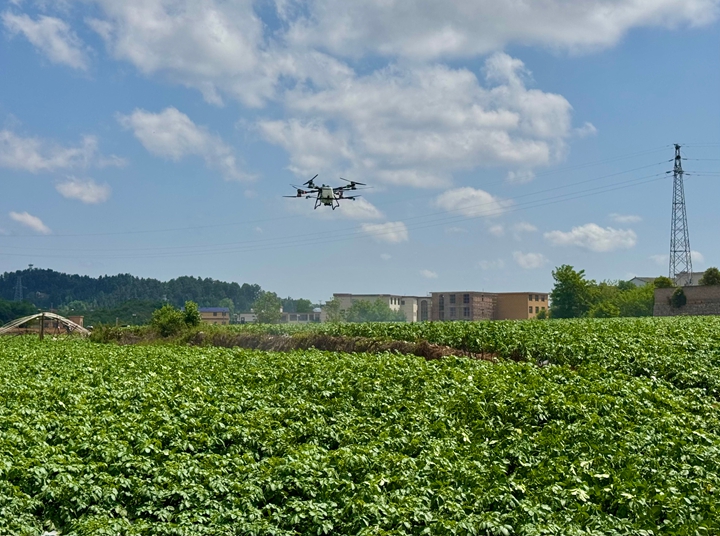 植保無人機(jī)在田間低空穿梭。