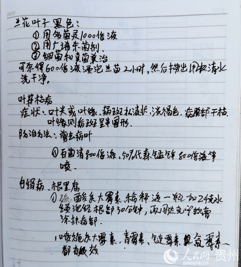 楊華飛的筆記本上，詳細(xì)記錄著蘭花常見的病蟲害和治療方法。人民網(wǎng)記者 王秀芳攝.jpg