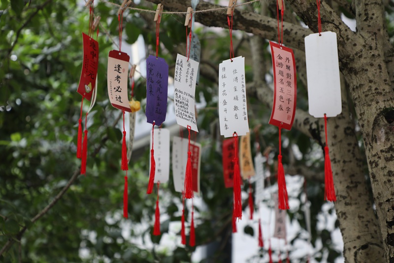 圖為石阡縣第三高級(jí)中學(xué)校園內(nèi)布置的高考氛圍。楊文美攝