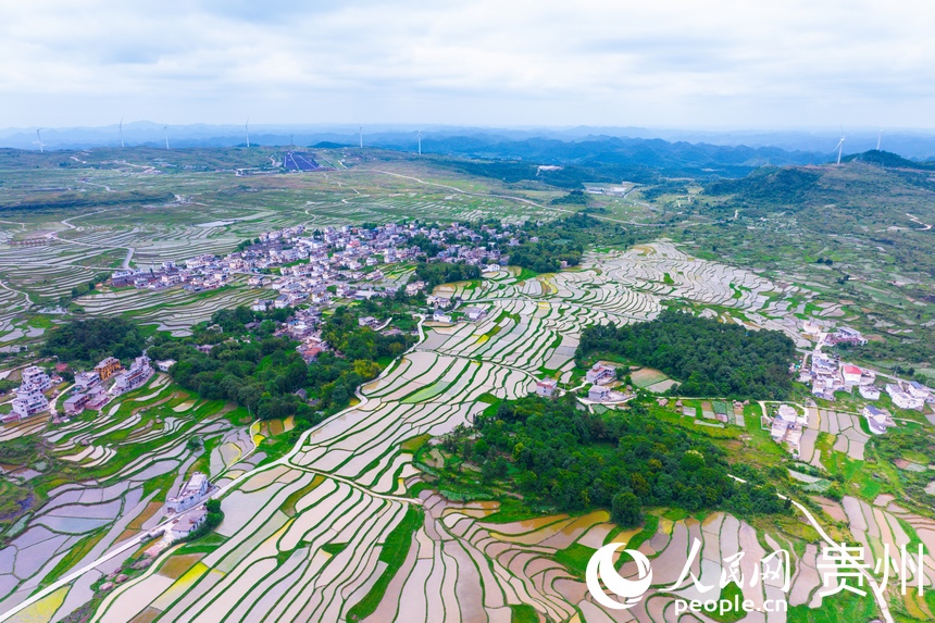 航拍貴陽市花溪區(qū)高坡苗族鄉(xiāng)梯田。人民網(wǎng)記者 涂敏攝