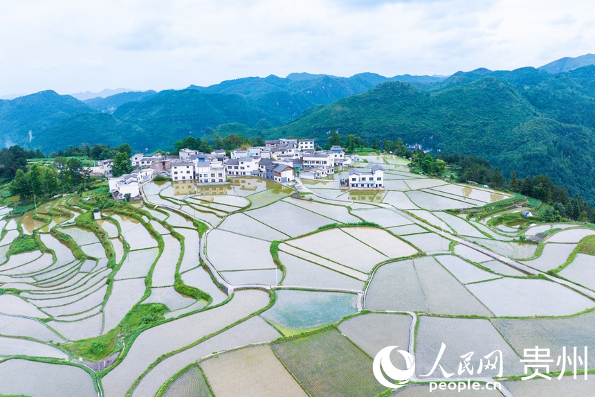 航拍貴陽(yáng)市花溪區(qū)高坡苗族鄉(xiāng)梯田。人民網(wǎng)記者 涂敏攝