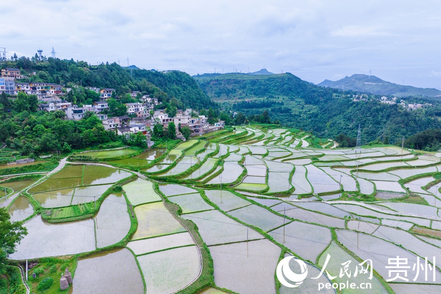 航拍貴陽市花溪區(qū)高坡苗族鄉(xiāng)梯田。人民網(wǎng)記者 涂敏攝