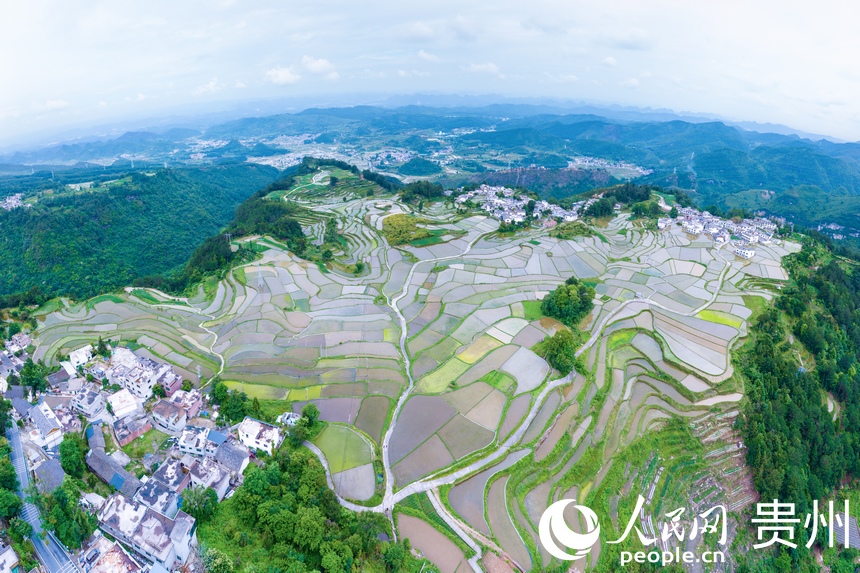 航拍貴陽市花溪區(qū)高坡苗族鄉(xiāng)梯田。人民網(wǎng)記者 涂敏攝