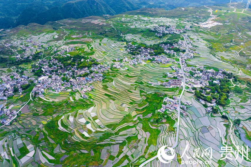 航拍貴陽(yáng)市花溪區(qū)高坡苗族鄉(xiāng)梯田。人民網(wǎng)記者 涂敏攝