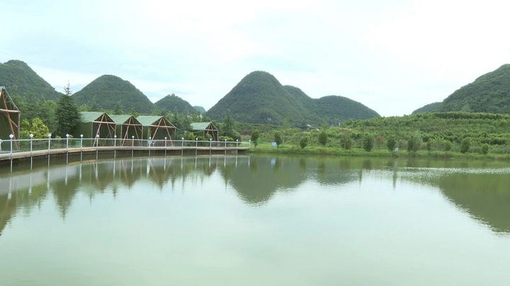 普定縣馬官鎮(zhèn)金荷村的獼猴桃基地面貌。.jpg