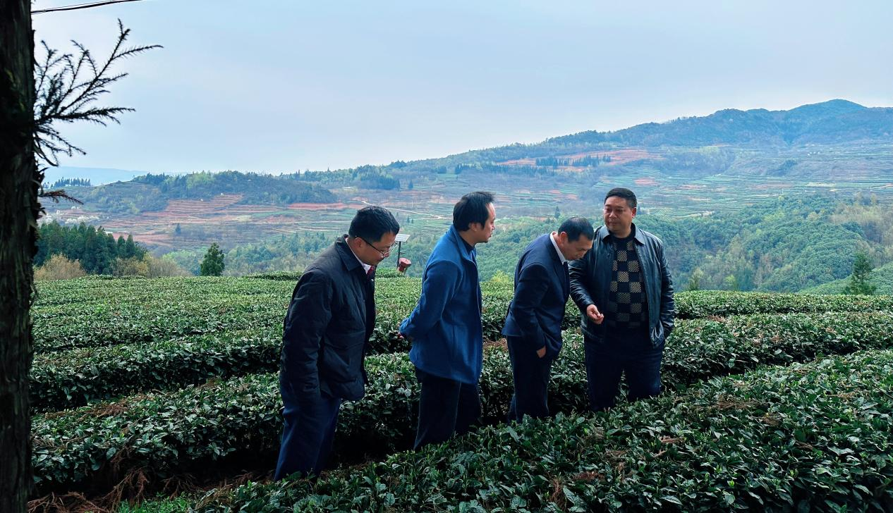 圖為工行六盤水分行以“多彩農(nóng)鏈通”金融服務(wù)為抓手，助力涼都特色農(nóng)業(yè)產(chǎn)業(yè)。