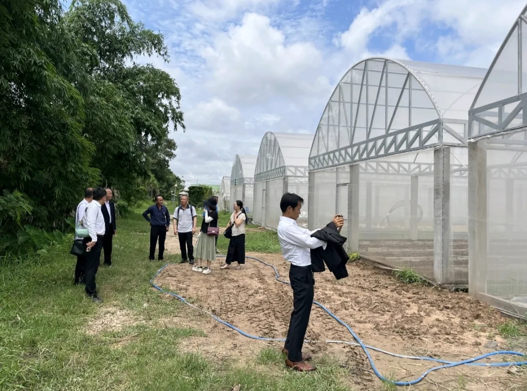 參觀種植大棚基地。