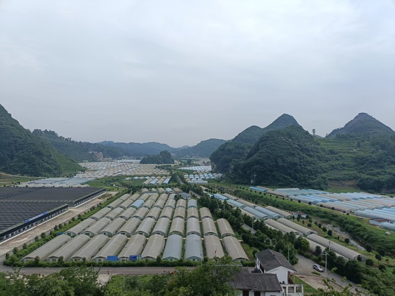 織金縣馬場鎮(zhèn)臺(tái)子社區(qū)入股的大陌產(chǎn)業(yè)園區(qū)。