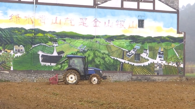 在金沙縣柳塘鎮(zhèn)淹壩村，農(nóng)機(jī)正在田間地頭來(lái)回穿梭翻犁土地。吳艷禹攝