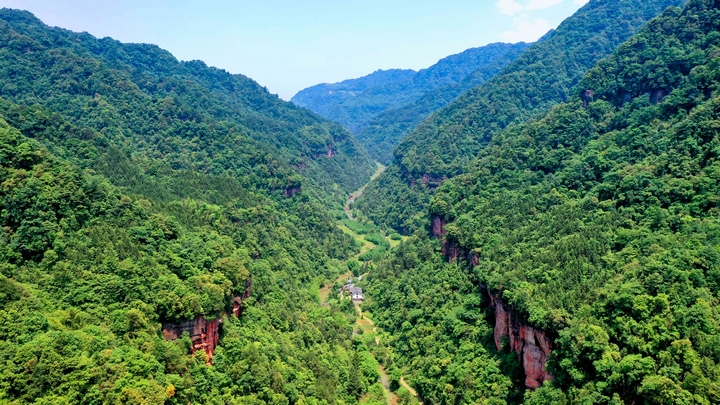 坭壩清溪溝，蕨類添生機，青山抱峽谷，清涼生態(tài)秘境。習水縣融媒體中心供圖.jpg