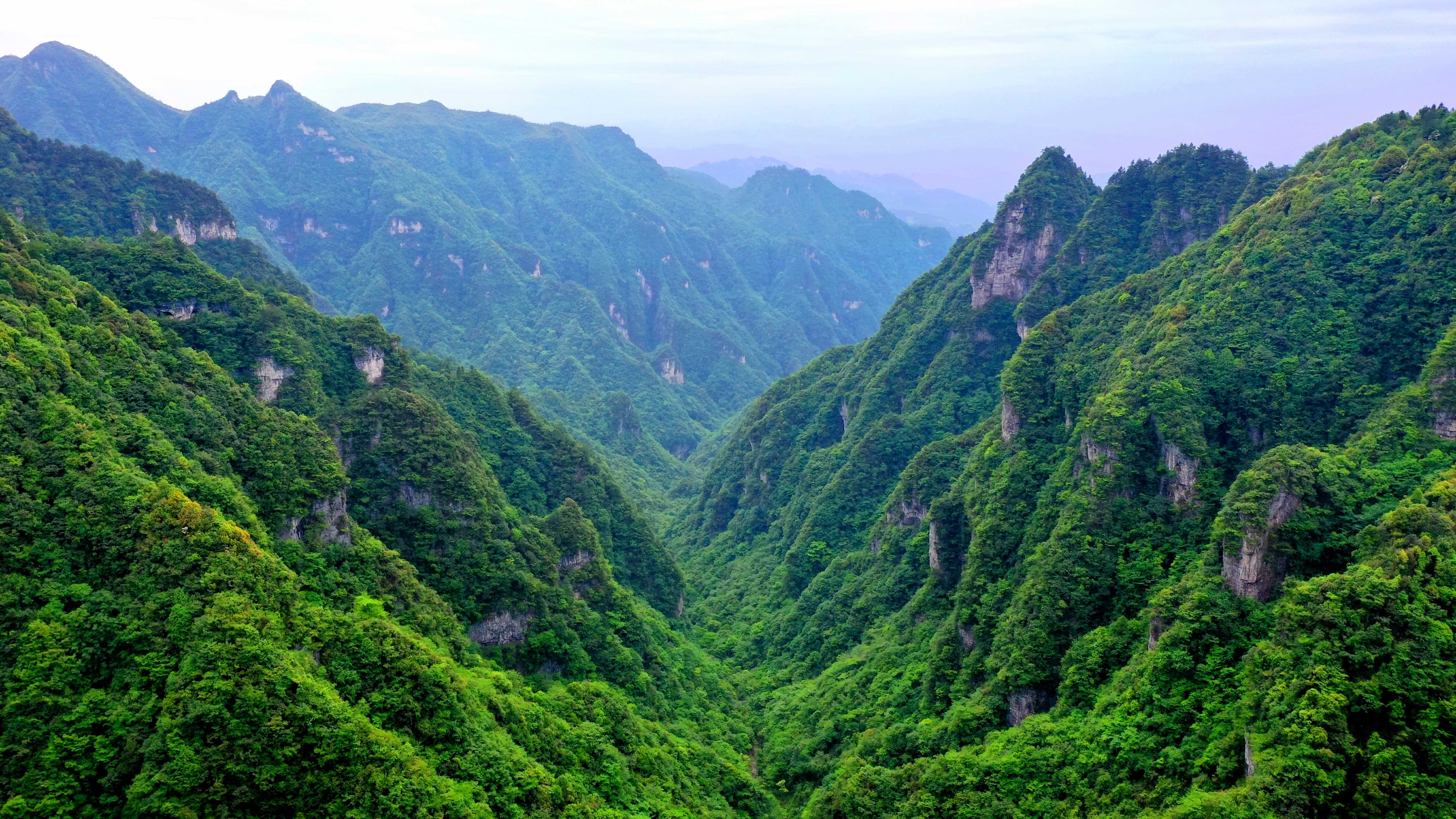 習水桃林，青山疊翠谷幽深，夏夜繁星伴清涼，旅居佳處?。習水縣融媒體中心供圖.jpg