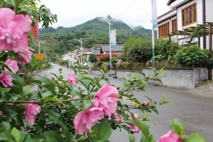 圖為：干凈整潔的苗寨村.jpg