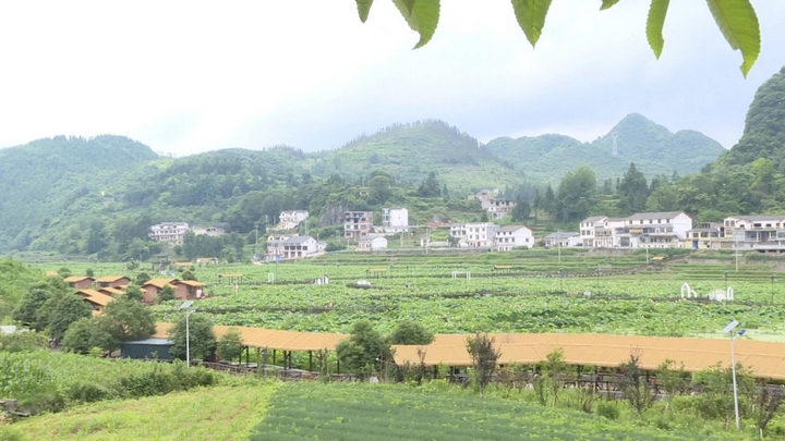 煥新升級(jí)后的普定縣水井村景區(qū).jpg
