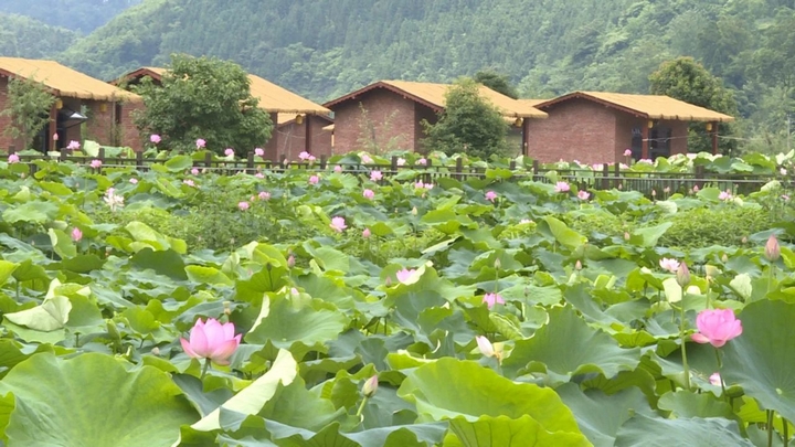 煥新升級(jí)后的普定縣水井村景區(qū).jpg